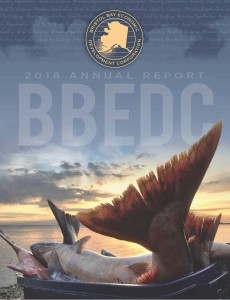 BBBEDC 2018 Annual Report